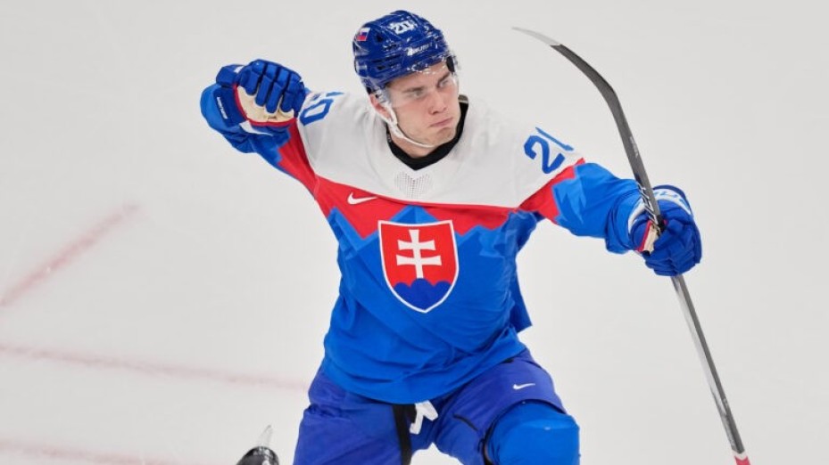 Takto by mohla vyzerať ‚nadupaná‘ zostava Slovenska na ZOH 2026